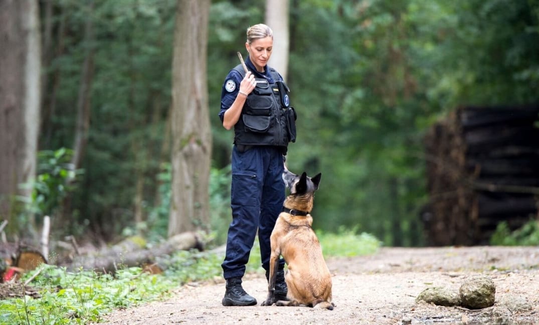 Maître de chien de la gendarmerie