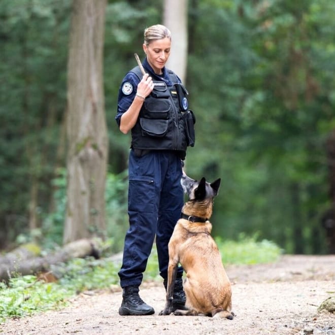 Image de : Devenir gendarme maître de chien