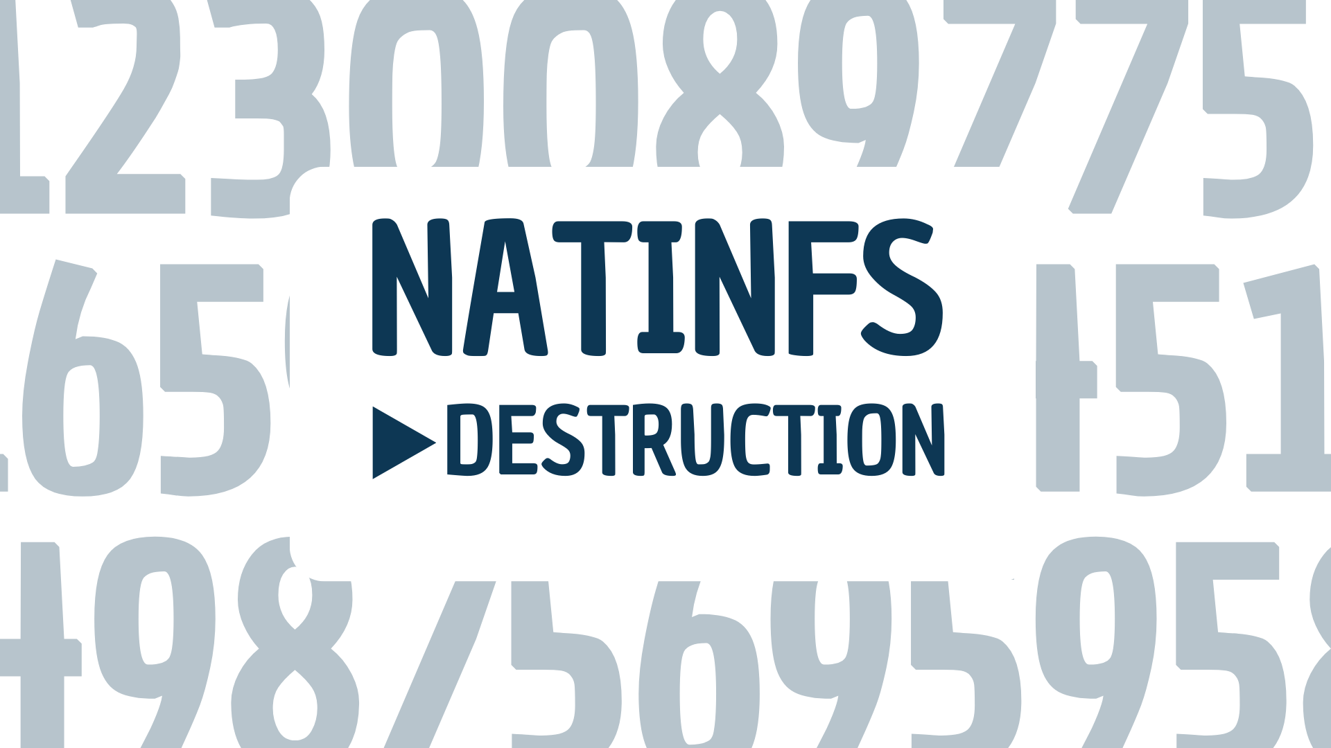 Natinfs destruction