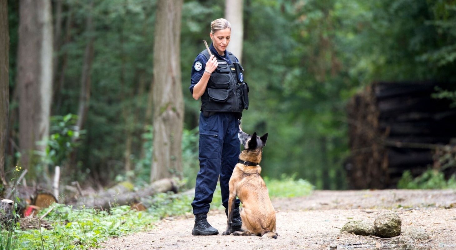 Devenir gendarme maître de chien